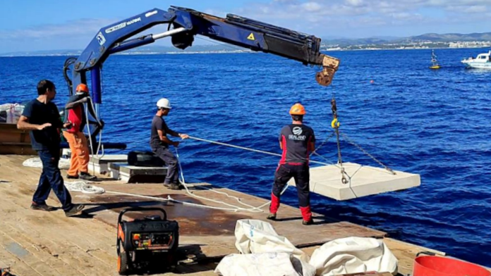 deploying seagrass farm pods