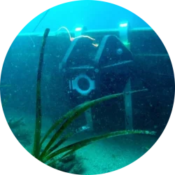 We currently use a tethered monitoring systems co-developed with CatchCam Technologies, and suspended directly beneath the pods.